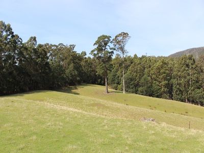 Lot 4, 100 Crosswells Road, Pelverata