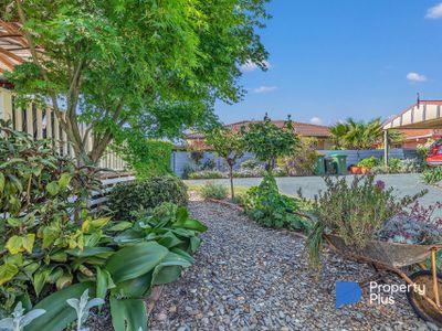21 MacKay Street, Rochester