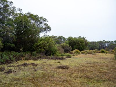 202-238 Flacks Road, Coles Bay