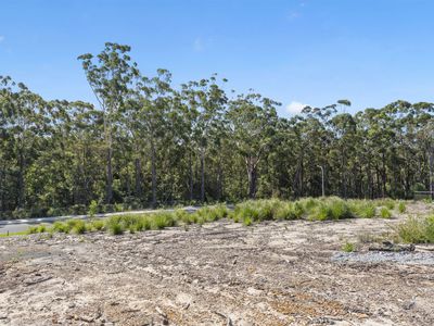 128 Seaspray Street, Narrawallee