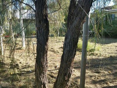 24 Gallop Road, Nullagine