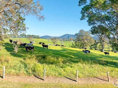 352 Bodalla Park Drive, Bodalla