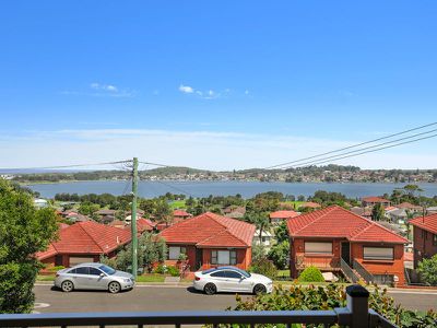 44 Vermont Road, Warrawong