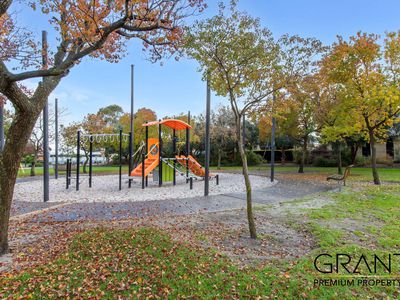 51 Jackadder Avenue, Hammond Park
