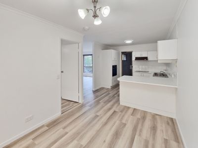 1 / 1 Echidna Court, Coombabah