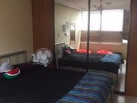 461 / 24 Wirraway Street, Alexandra Headland