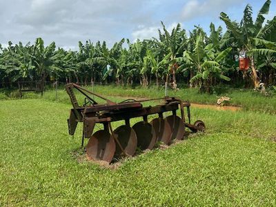 94 SOUTH JOHNSTONE ROAD, Boogan