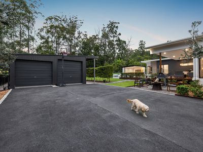 11 Staghorn Close, Palmview