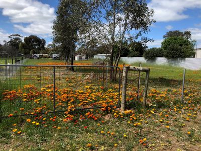 34 Market Street, Newbridge
