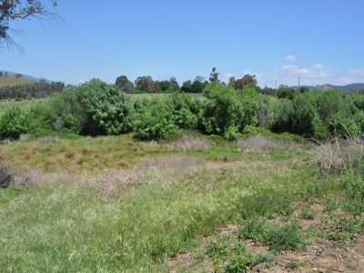 961 Yackandandah - Wodonga Road, Staghorn Flat