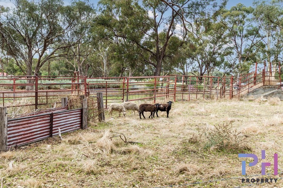 223 Schumakers Lane, Maiden Gully PH Property