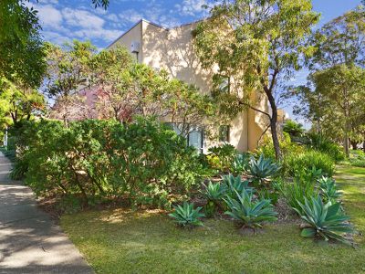 31 / 15 Begonia Street, Pagewood