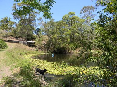 478 Moy Pocket Road, Kenilworth
