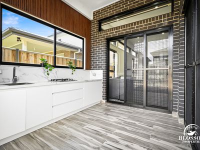 57 Ribbonwood Crescent, Marsden Park