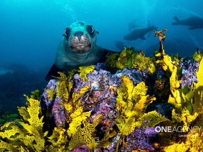 a107 / 4 Murdoch Street, Huskisson