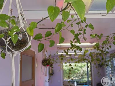 Lennox Sanctum- Wellness Spa and Clinic