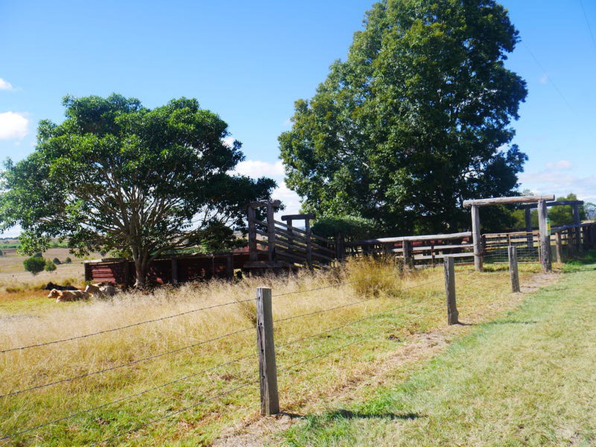 376 Reedy Creek, Kingaroy