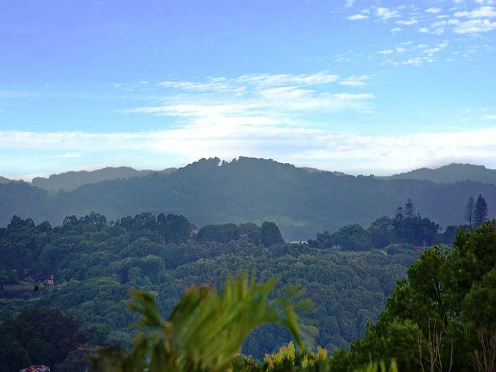 50 Marana Street, Bilambil Heights