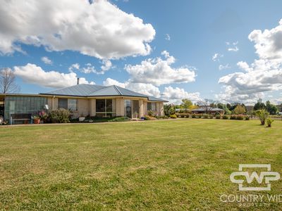 20 Carlisle Close, Glen Innes