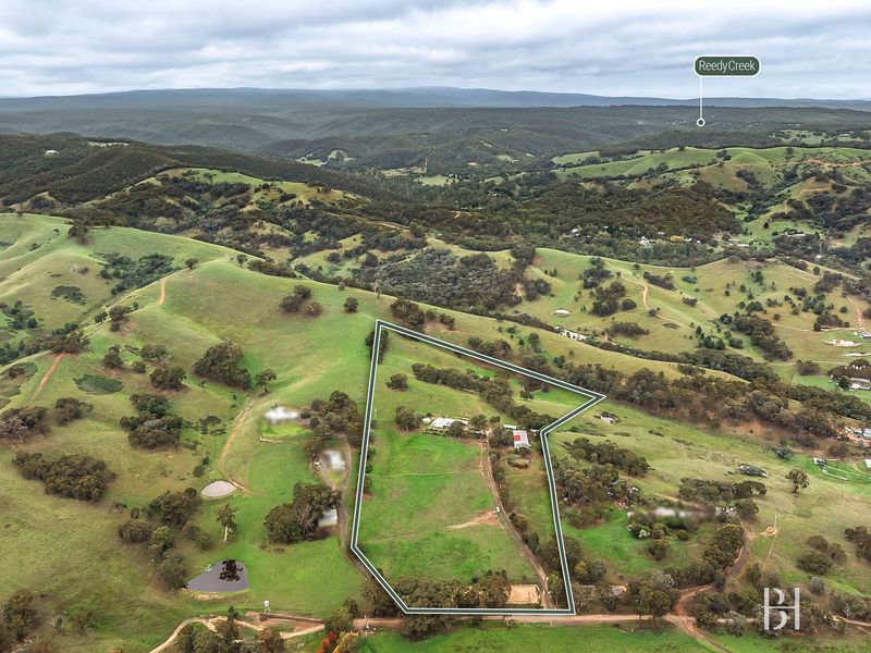 40 Searles Lane, Reedy Creek