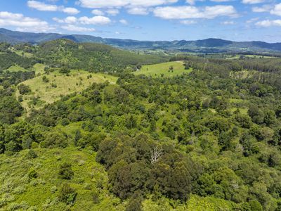 345 Blue Knob Road, Nimbin