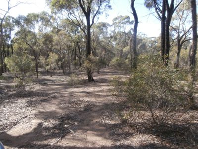 Lot 8, 1500 Sheldons Road, Myers Flat