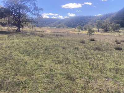 1950 FLAGGS ROAD, Gungal
