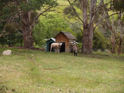 113 Watsons Road, Glen Huon