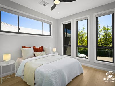 16 Sculptor Street, Box Hill