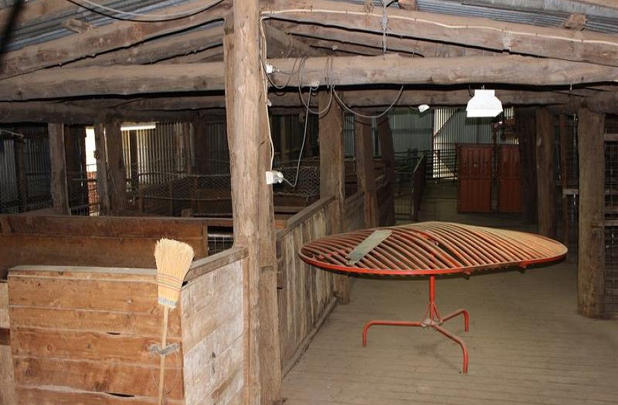 gallery