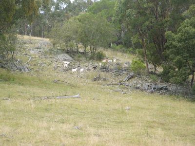Torrington Road, Emmaville