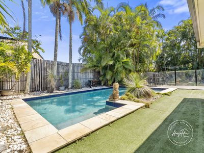 19 Riverwood Drive, Bellmere