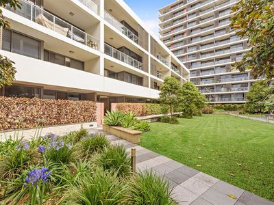 335 / 7 Defries Ave, Zetland