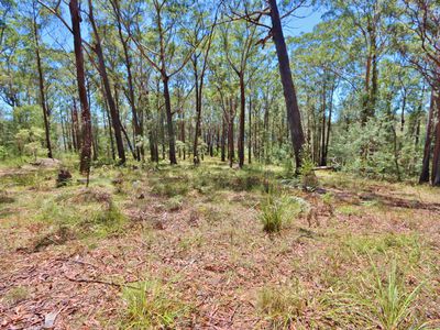 66 Hardakers Road, Pambula