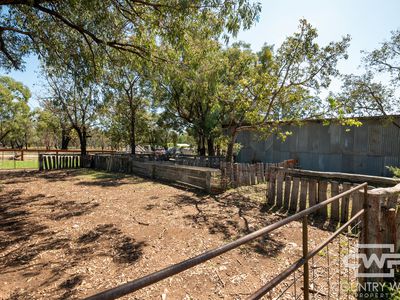 Lot 7, - Emmaville Rd, Emmaville