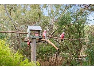 11 Cromer Road, Birdwood