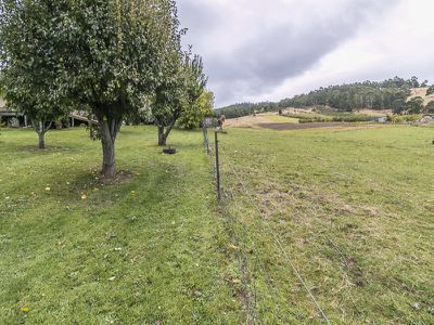 3000 Huon Highway, Franklin