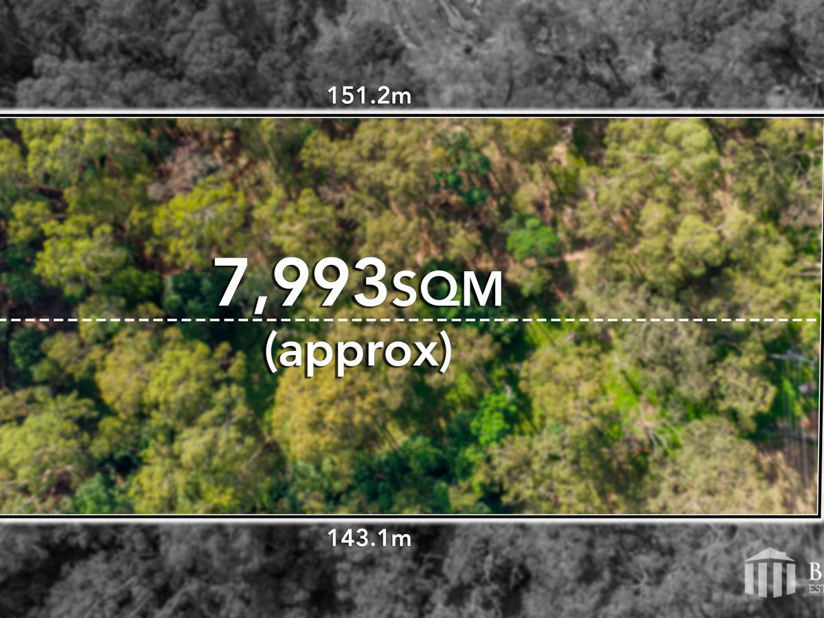 Lot 125-127, Mt Morton Road , Belgrave Heights