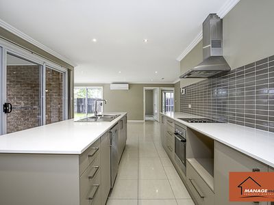 77 Christina Stead Street, Franklin