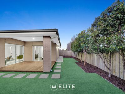 15 Tallrush Street, Clyde North