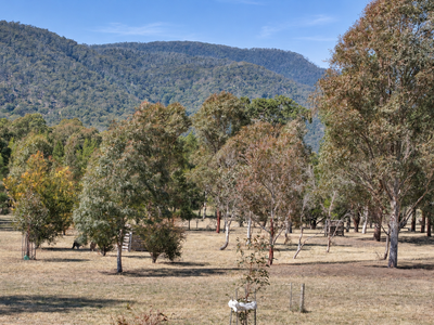 29 Quong Tart Close, Araluen