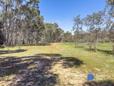 1 Burrows Lane, Dunolly