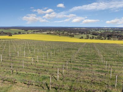 390 Cornella-Toolleen Road, Toolleen