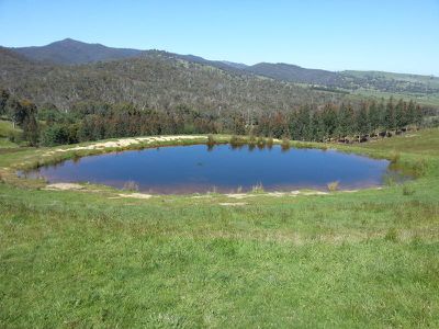 Lot 8, Wild Dog Road, Merrijig