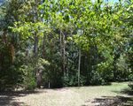 77 Ninderry Road, Bridges