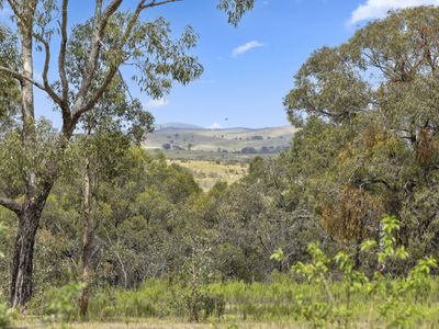 110 Bassett Lane, Hilldene