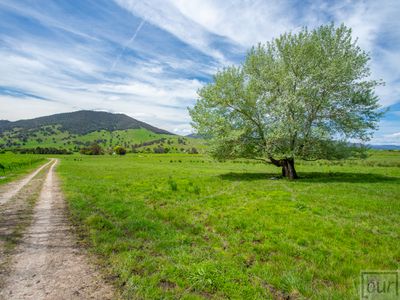 275 Soldier Settlers Road, Tallangatta Valley