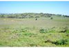 346 Avoca Road, Stuart Town