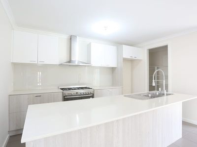 56 Obrist Place, Rochedale