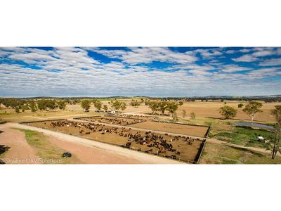 Parkes